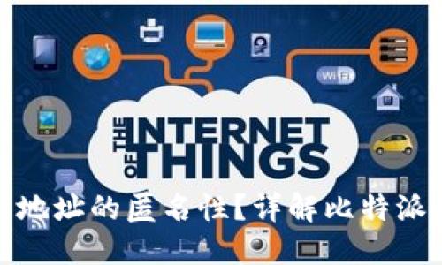 如何实现比特派地址的匿名性？详解比特派的隐私保护机制