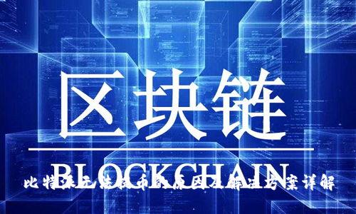 比特派无法提币的原因及解决方案详解