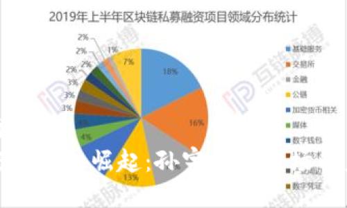 伪代码
加密货币的崛起:孙宇晨与波场的未来