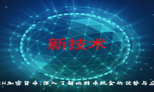 BCH加密货币:深入了解比特币现金的优势与应用
