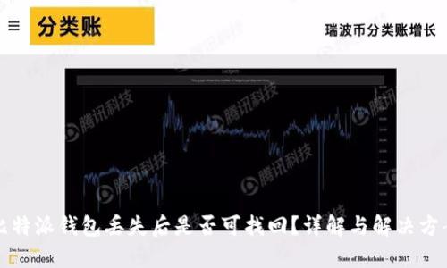比特派钱包丢失后是否可找回?详解与解决方案