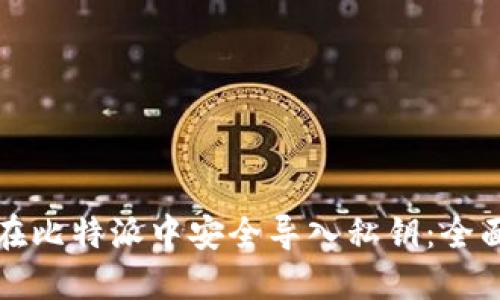 如何在比特派中安全导入私钥：全面指南