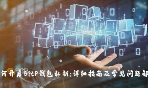 如何开启BitP钱包私钥:详细指南及常见问题解答