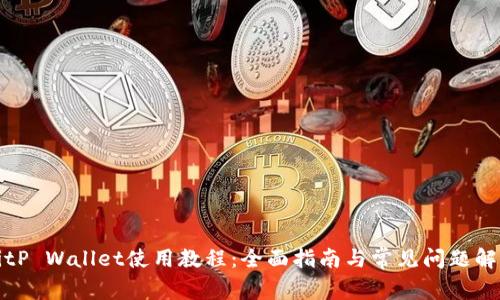 BitP Wallet使用教程:全面指南与常见问题解答