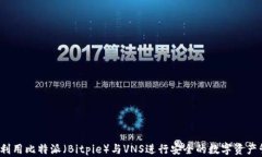 如何利用比特派(Bitpie)与VNS进行安全的数字资