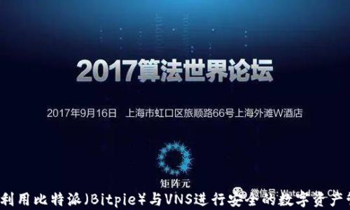 如何利用比特派(Bitpie)与VNS进行安全的数字资产管理?