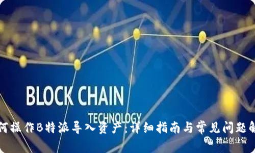 如何操作B特派导入资产:详细指南与常见问题解析
