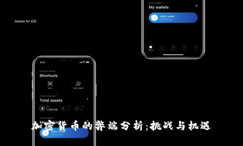 加密货币的弊端分析:挑战与机遇