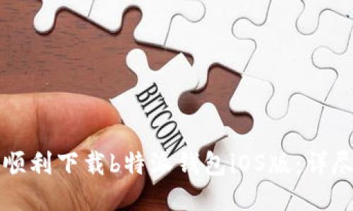 如何顺利下载b特派钱包iOS版:详尽指南