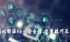 深入解析比特派Key：安全性、使用技巧及常见问