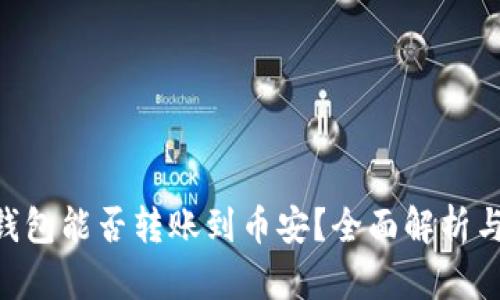 BitKeep钱包能否转账到币安？全面解析与操作指南