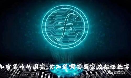 全球接受加密货币的国家：你知道哪些国家在推进数字货币发展？