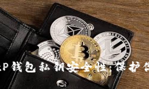 全面解析BitP钱包私钥安全性：保护你的数字资产