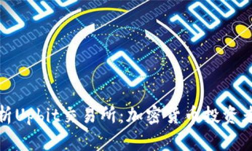 全面解析Upbit交易所：加密货币投资者的新宠