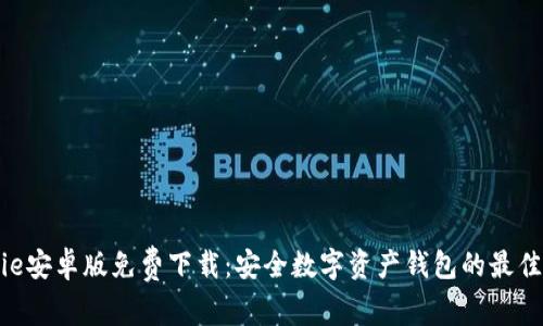 Bitpie安卓版免费下载：安全数字资产钱包的最佳选择