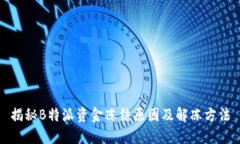 揭秘B特派资金冻结原因及解冻方法