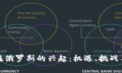 加密货币在俄罗斯的兴起：机遇、挑战与未来发