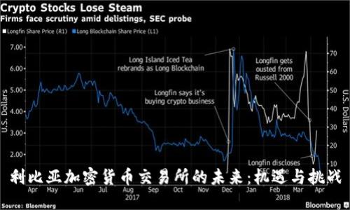 利比亚加密货币交易所的未来：机遇与挑战