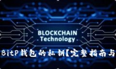 如何导出BitP钱包的私钥？完整指南与注意事项