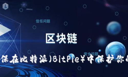 如何确保在比特派（BitPie）中保护你的隐私？