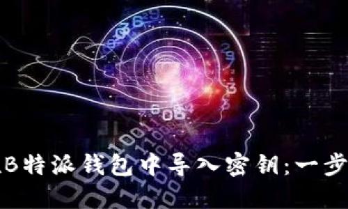 如何在B特派钱包中导入密钥：一步步指南