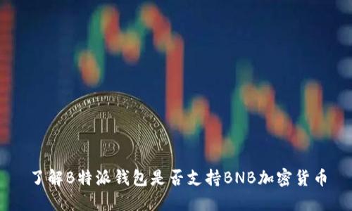 了解B特派钱包是否支持BNB加密货币