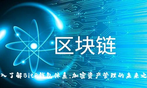 深入了解BitP钱包体系：加密资产管理的未来之路