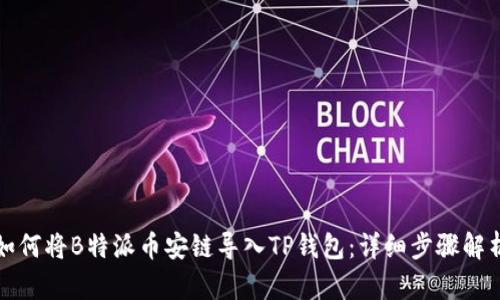 如何将B特派币安链导入TP钱包：详细步骤解析