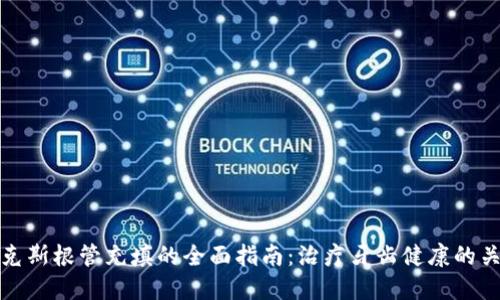 比特派克斯根管充填的全面指南：治疗牙齿健康的关键步骤