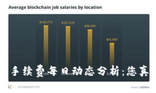 B特派转账手续费每日动态分析：您真的了解吗？