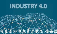 如何查看BK钱包资产状况：全面攻略