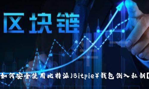 如何安全使用比特派（Bitpie）钱包倒入私钥？