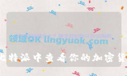 如何在比特派中查看你的加密货币地址？