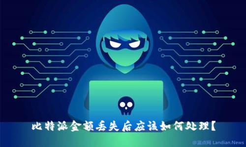 比特派金额丢失后应该如何处理？