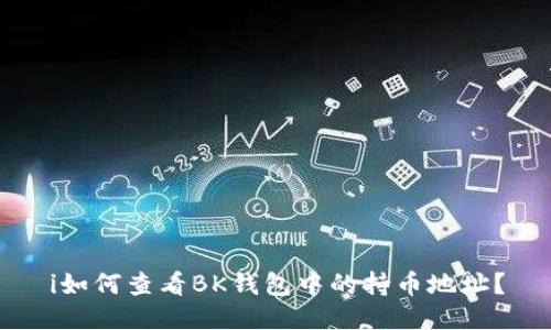 i如何查看BK钱包中的持币地址？