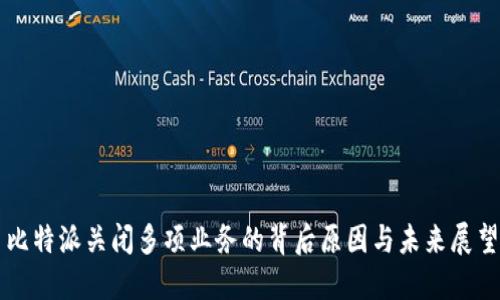 比特派关闭多项业务的背后原因与未来展望