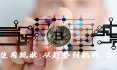 加密货币使用现状：从趋势到挑战，你了解了吗