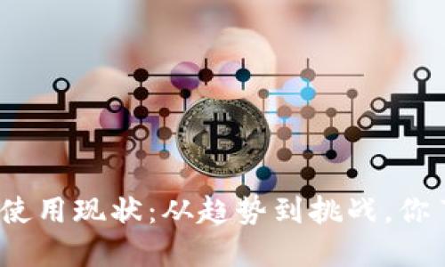 加密货币使用现状：从趋势到挑战，你了解了吗？