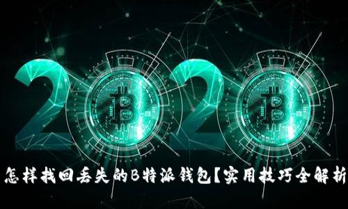 怎样找回丢失的B特派钱包？实用技巧全解析
