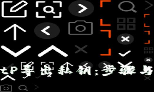 如何在BitP导出私钥：步骤与注意事项