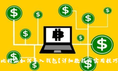 比特派如何导入钱包？详细教程与实用技巧