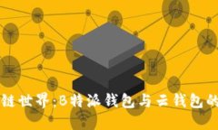 解密区块链世界：B特派钱包与云钱包的区别揭示