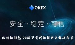 比特派钱包iOS端下载问题解析与解决方案