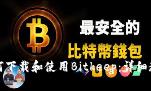 如何下载和使用Bitkeep：详细教程