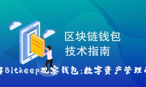 深入了解Bitkeep观察钱包：数字资产管理的新选择