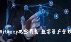 深入了解Bitkeep观察钱包：数字资产管理的新选择