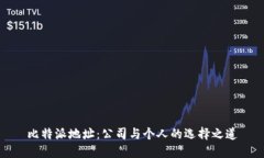 比特派地址：公司与个人的选择之道