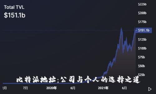 比特派地址：公司与个人的选择之道
