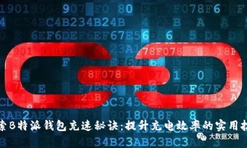 探索B特派钱包充速秘诀：提升充电效率的实用技巧