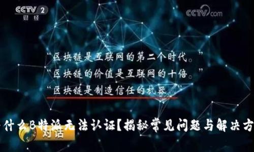 为什么B特派无法认证？揭秘常见问题与解决方案